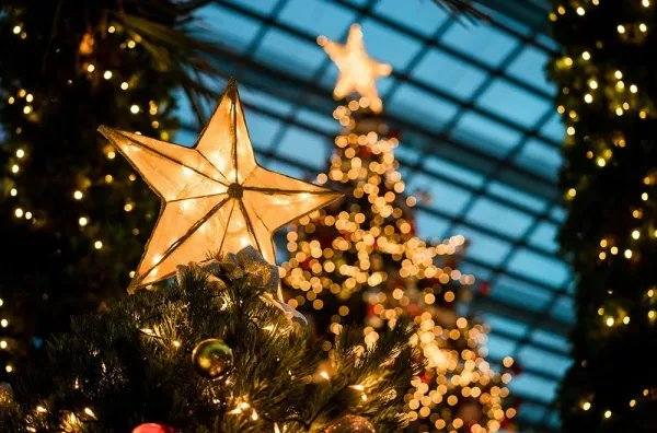 Arbre de Noel Entreprise 100