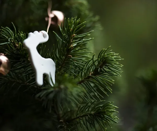 Arbre de Noel entreprise a Toulouse 0